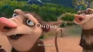 Мы очень очень тупые😂😂😂😂😂😂😂😂