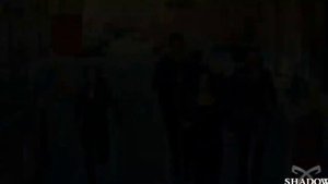 Сумеречные охотники