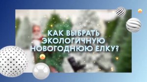 🎄 Выбираем экологичную елку ❄ Siberian Wellness / Сибирское Здоровье #елка #ель #новыйгод #нг