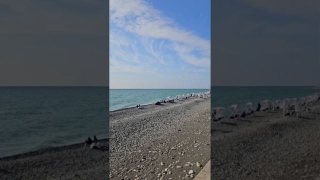 зима в Сочи декабрь Чёрное море