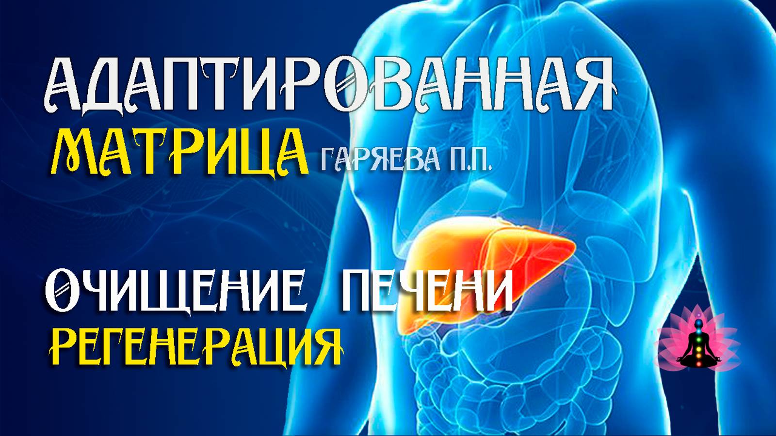 Матрица очищение  печени»  Адаптированная матрица Гаряева П П ☀️ SoftRadio ru
