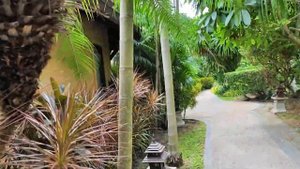 Samui 2024. Отель Fair House Beach Resort
