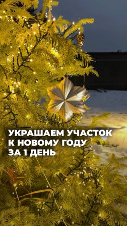 Магия за вечер: Украшаем участок к Новому Году! 🎇 | In Garden
