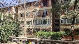 Прогулка за травяным сбором на базара выходного дня.