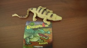 Крокодилы и Ко макси ФИНАЛ