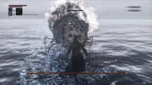 Bloodborne™Ром-праздный паук (no damage )