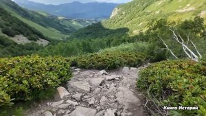 Вернувшись из командировки, богатый муж перепутал даты и подарил жене букет любовницы…