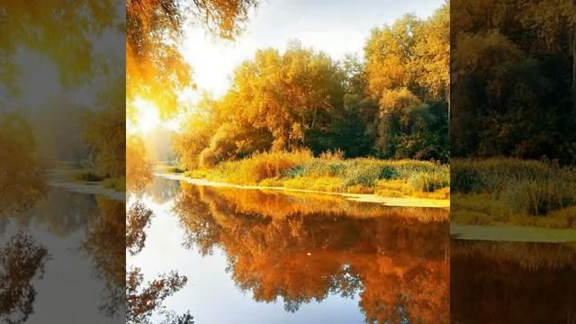 Осенняя природа !!!