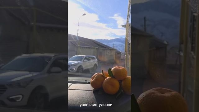 поездка по окрестностям