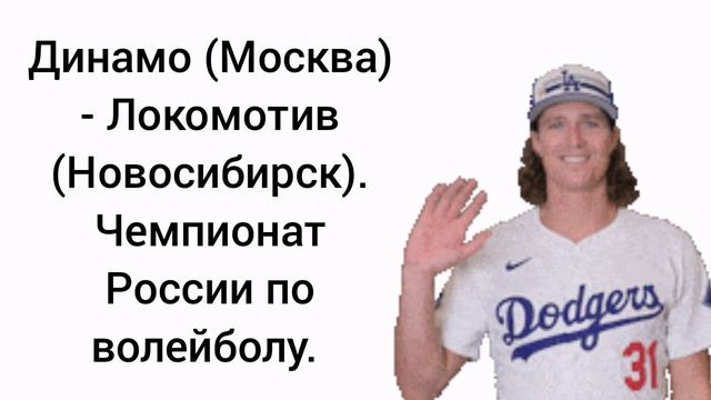 Динамо (Москва) - Локомотив (Новосибирск). Чемпионат России по волейболу.