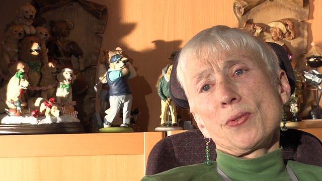 Dogs With Jobs - Assistance Dogs смотреть онлайн