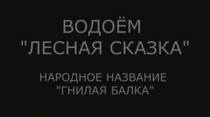 Водоемы Донбасса: фильм 11 - водоём "Лесная Сказка", 30 марта 2020г.