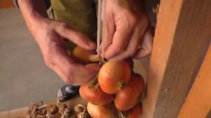 Октябрь - дела огородные