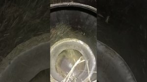 Сенорезка из 100 л бочки своими руками