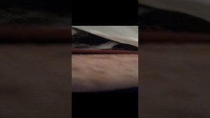 Котята: брат и сестрёнка. Домик под табуреткой.