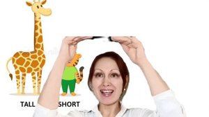 Слова противоположности: big-small, short- tall, fast-slow, yes-no.