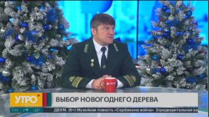 Выбор новогоднего дерева. Утро с Губернией. 20/12/2024. GuberniaTV