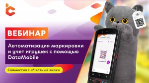 Вебинар: «Автоматизация учета маркированных игрушек с помощью ТСД и DataMobile»