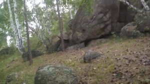 Тарх Тарник - мегалиты Алтая