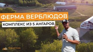 Комплекс каркасных ангаров для фермы верблюдов в Татарстане