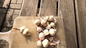 Зачем выращивают яровой чеснок