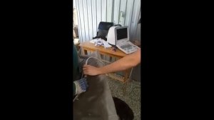 Первая икра.