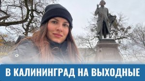 В КАЛИНИНГРАД НА ВЫХОДНЫЕ. ЧТО ЕЩЕ МОЖНО ПОСМОТРЕТЬ, ЕСЛИ ПРИЕЗЖАЕШЬ 4й РАЗ. VLOG