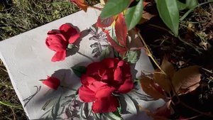 Красные розы