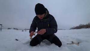 СОРОГА НА БЕЗМОТЫЛКУ И БОЛЬШЕ НИКАКОГО МОТЫЛЯ!! ЛОВЛЯ ПЛОТВЫ ВЕСНОЙ