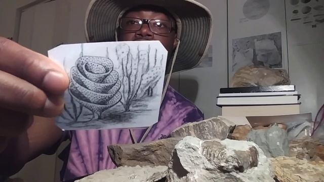 Field Work Review: Collecting fossils from Alabama and Tennessee