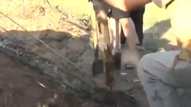 Зепп Хольцер  Фильм 2  Пермакультура с нуля