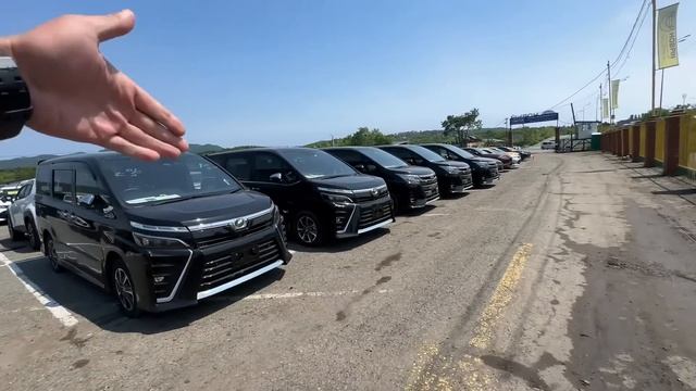 ЦЕНЫ НА АВТО 06.06.24 #подборавто #автоэксперт #автоподбор #подборавтомобиля #автояпония