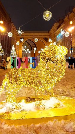 19.01.24 👉 Дворцовая площадь, Петербург ❤️ #петербург