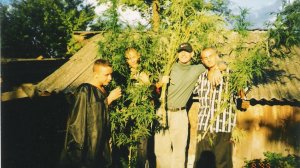 Краснодар к.п. Скандинавия