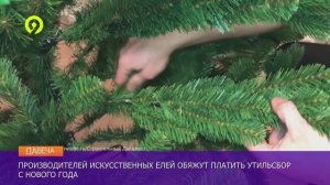 Давеча | 20.12.2024 |Экологический сбор на елки