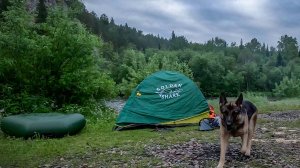 СПЛАВ ПО ГОРНОЙ РЕКЕ КАКВА | СКАЛЫ, ПРИРОДА, СОБАКА
