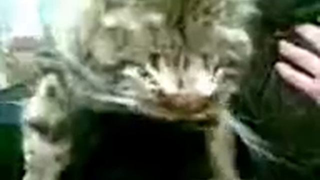 Moe004 смотреть онлайн