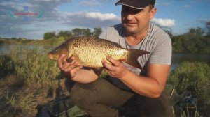 ВОДОЕМЫ ДОНБАССА, фильм 18 - "АКВАТОРИЯ": поймать карпа проще не бывает!