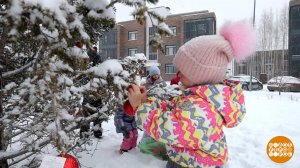 Всем новогоднего настроения! Доброе утро. Фрагмент выпуска от 20.12.2024