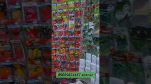 Семена с Алтая. 89059824457