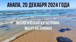 Анапа, 20 декабря 2024 года, мазут на пляжах, четвертый день уборки