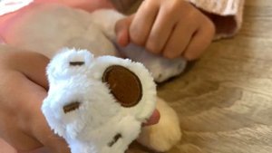 ЛИЛИ И ЛИЛИ baby прилетели в Германию к БАСИКУ