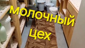 молочный цех