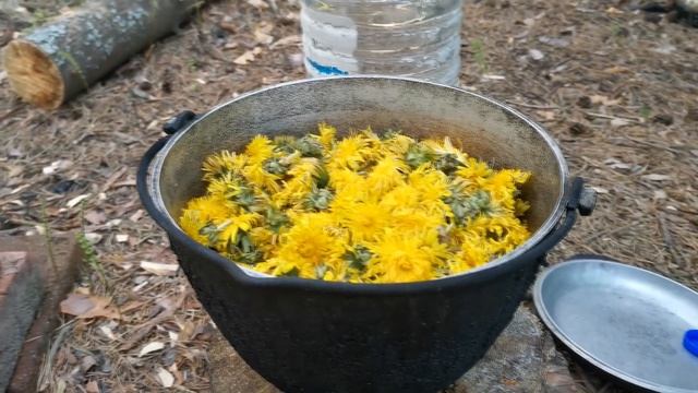 Варенье из одуванчиков