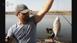 ТАКТИКА ЛОВЛИ ЛЕЩА в стоячей воде. Как ловить ЛЕЩА и отсечь КАРПА? Прикормка, насадка и тактика.