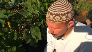 Самогон, шашлык и кабачки