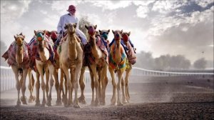 Jack Essek - Rekuhkara