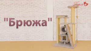 Процесс сборки комплекса «Брюжа»