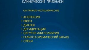 Острая  почечная  недостаточность у собак и кошек. Диагностика, лечение,  гемодиализ