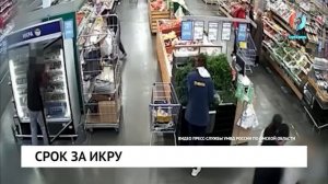 Срок за икру